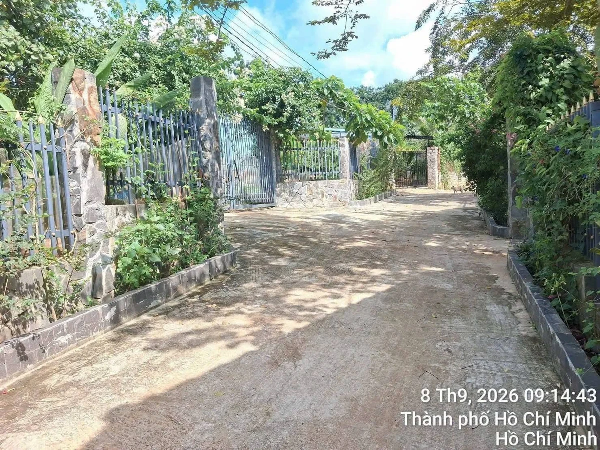 Bán đất nhà vườn 1000m2 view suối ở Bà Rịa - Vũng Tàu - Ảnh thu nhỏ 4