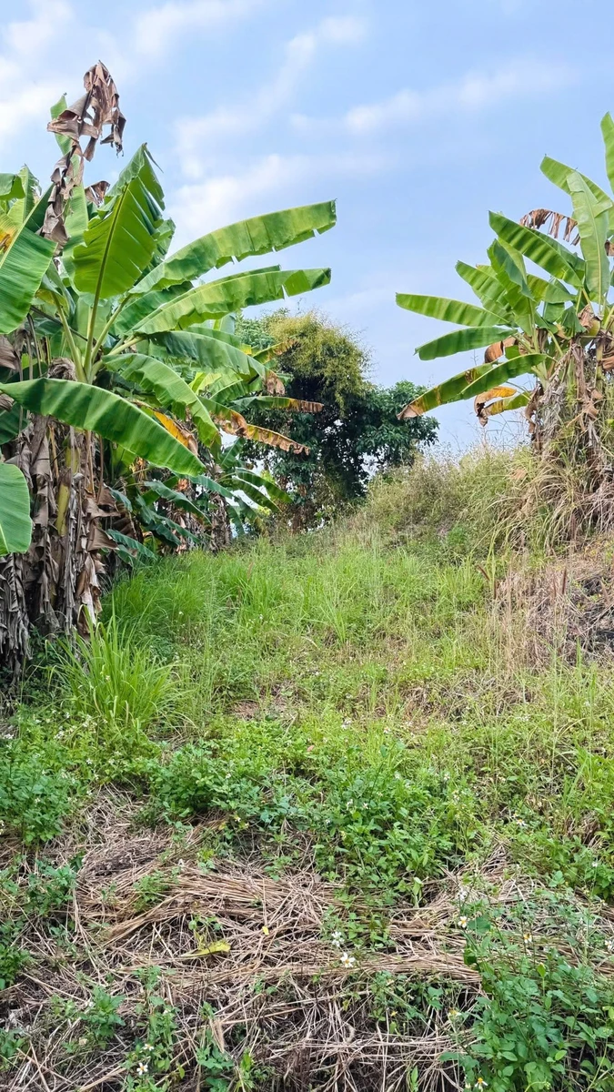 Bán đất Gia Kiệm 1.000m² giá 860 triệu - Ảnh thu nhỏ 2