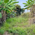 Bán đất Gia Kiệm 1.000m² giá 860 triệu - Ảnh thu nhỏ 2