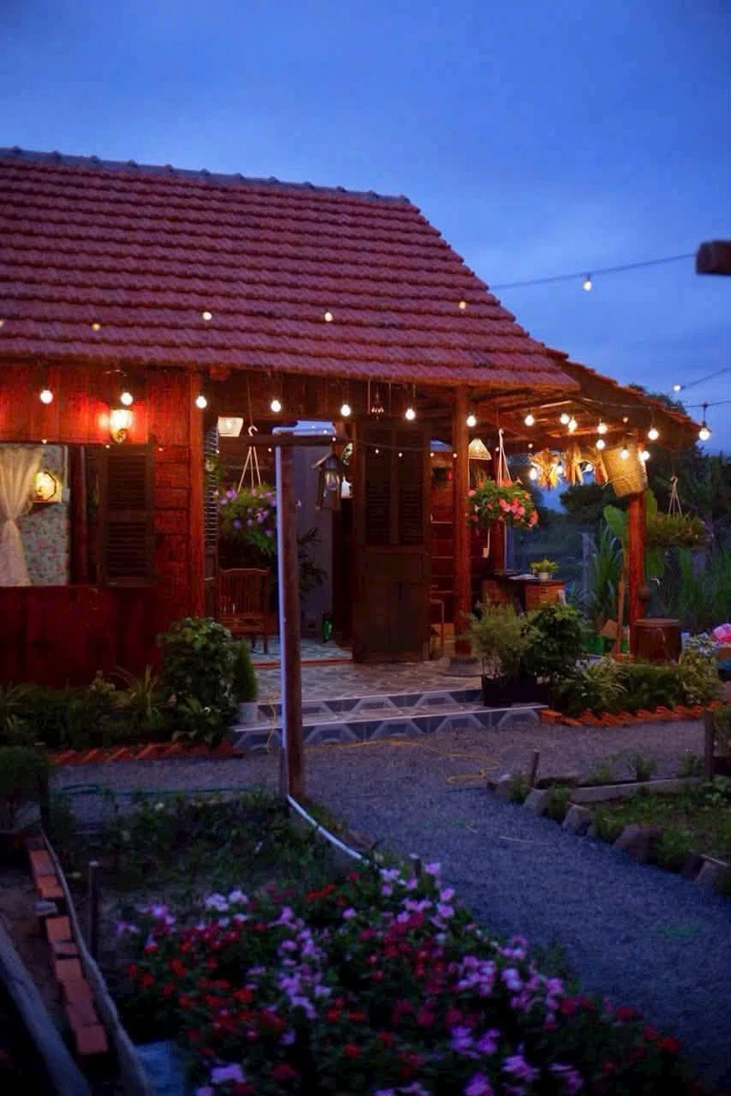 Bán nhà vườn 800m² Hàm Liêm, Phan Thiết - Ảnh thu nhỏ 5