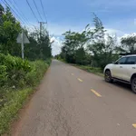 Bán đất nền 250m2 mặt tiền Xuân Phú Xuân Tây, Đồng Nai 990 triệu - Ảnh thu nhỏ 5