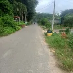 Bán lô đất 5000m² đường nhựa Phú An, Bình Dương - 3 tỷ 100 - Ảnh thu nhỏ 4