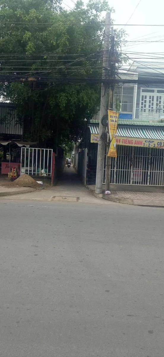 Bán đất nền 522m2 (thổ + vườn) Nguyễn Thông, Tây Ninh - Ảnh thu nhỏ 5