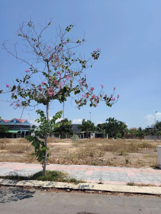Lô góc khu K2 cách biển Bình Sơn vài bước chân, ngay chung cư Ocean City - Ảnh thu nhỏ 5