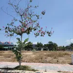 Lô góc khu K2 cách biển Bình Sơn vài bước chân, ngay chung cư Ocean City - Ảnh thu nhỏ 5