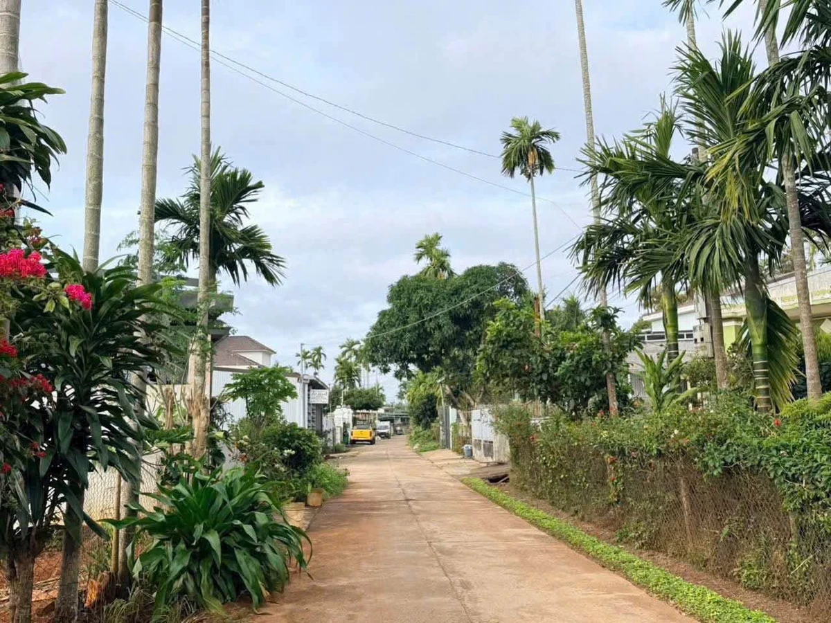 Bán đất 10x34m 2 mặt tiền hẻm cấp 1 gần Võ Nguyên Giáp, Phường Tân Lập, Buôn Ma Thuột - Ảnh thu nhỏ 3