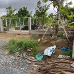 Bán đất vườn 3017m² Thạnh Hòa, Bến Lức, Long An - Ảnh thu nhỏ 1
