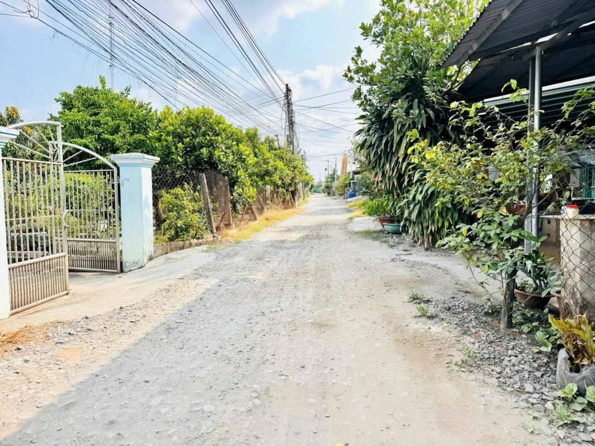 Bán lô đất thổ cư 116 m² Đức Hòa 1 tỷ 190 - Ảnh thu nhỏ 3