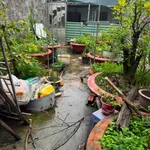 Bán nền đất 81m² đã đổ bê tông, mặt sông, Đồng Tháp - Ảnh thu nhỏ 3