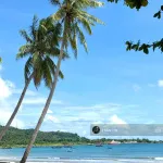 Cặp đất mặt tiền đường biển Hoàng Sa. View trực diện biển - Ảnh thu nhỏ 22
