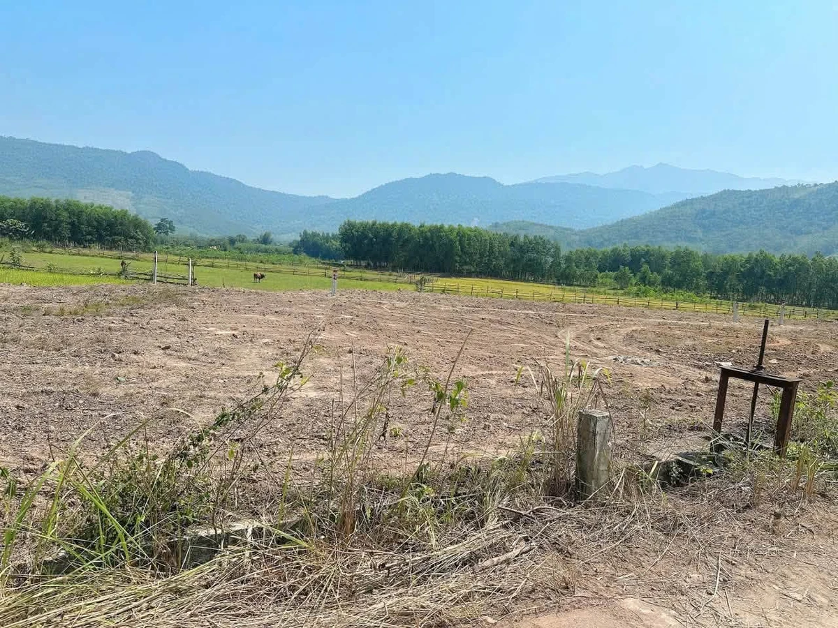 Bán 2 lô đất 580m² mặt tiền đường Bêtông Nhà Bè - Ảnh thu nhỏ 2