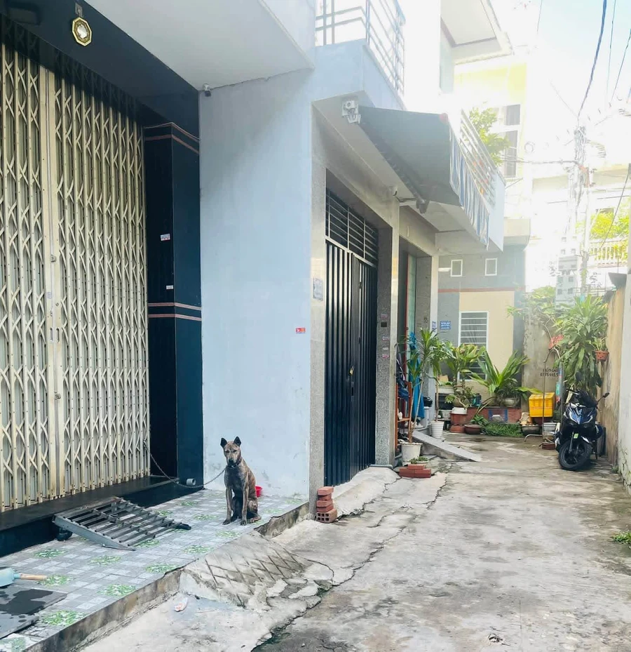 Bán nhà 3 tầng 46m2 đường Thanh Niên, Quy Nhơn - 2.999 tỷ - Ảnh thu nhỏ 2
