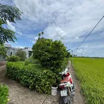 Bán 1035m² đất thổ cư có nhà tại Cần Dước Long An, 1 tỷ 8 - Ảnh thu nhỏ 1