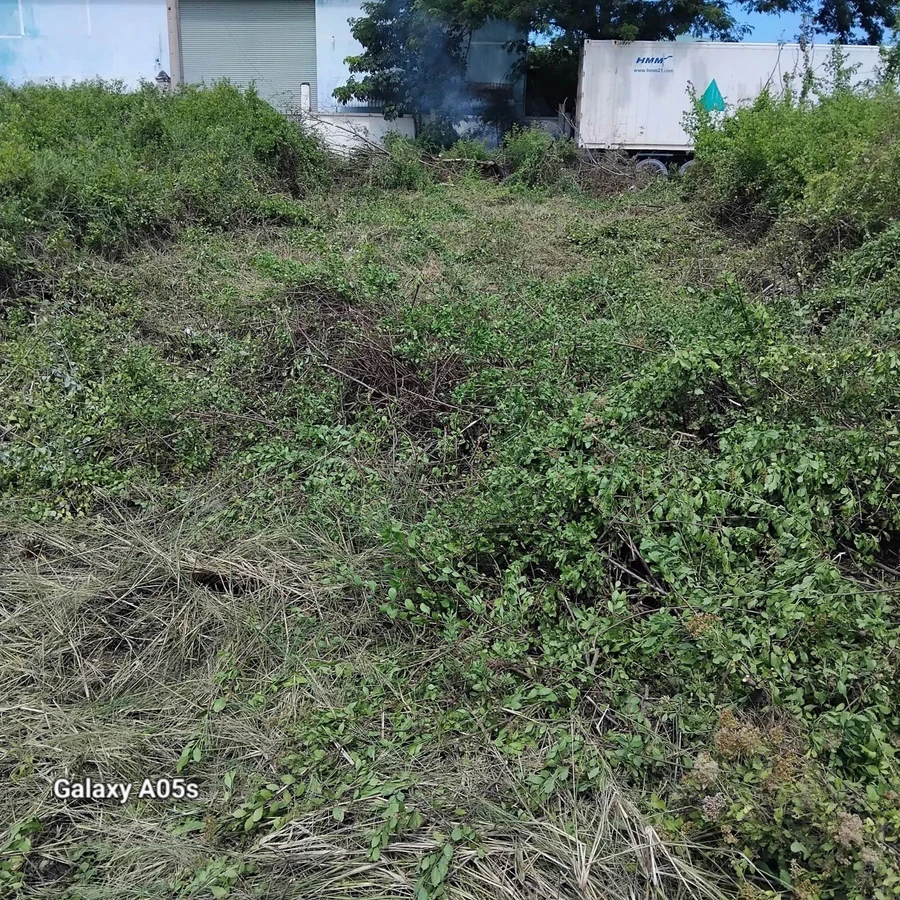 Bán lô đất 100 m² mặt nhựa KDC Bến Lội Lại An, Bình Thuận - Ảnh thu nhỏ 2
