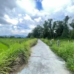 Bán đất cây lâu năm 1.000m² Xã Hàm Liêm 420 triệu - Ảnh thu nhỏ 3