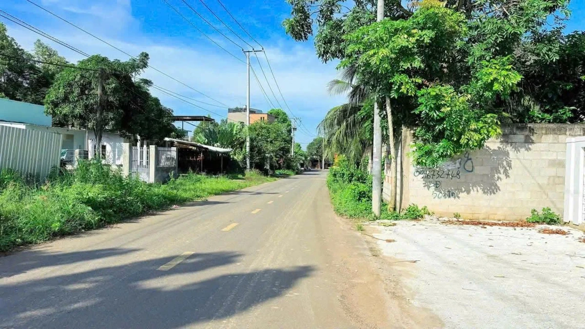 Bán lô đất 854m2 mặt tiền Đoàn Trung Còn, Đất Đỏ - Ảnh thu nhỏ 2
