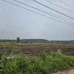 Đất gần sân bay Long Thành giá rẻ hơn thị trường 30% có sẵn 600m2 thổ cư - Ảnh thu nhỏ 3