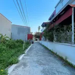 Bán lô đất 100m2 Thành Tô Tràng Cát Hải An - Ảnh thu nhỏ 3