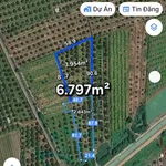 Bán 6.797m² đất sầu riêng Xã Truông Mít, Tây Ninh - Ảnh thu nhỏ 2