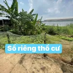 Bán đất nền 90m² trung tâm Biên Hòa 500 triệu - Ảnh thu nhỏ 3