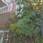 Bán nhà 3 tầng - đất trăm mét - giá chỉ nhỉnh hơn 2 tỷ TP. Huế! - Ảnh thu nhỏ 3