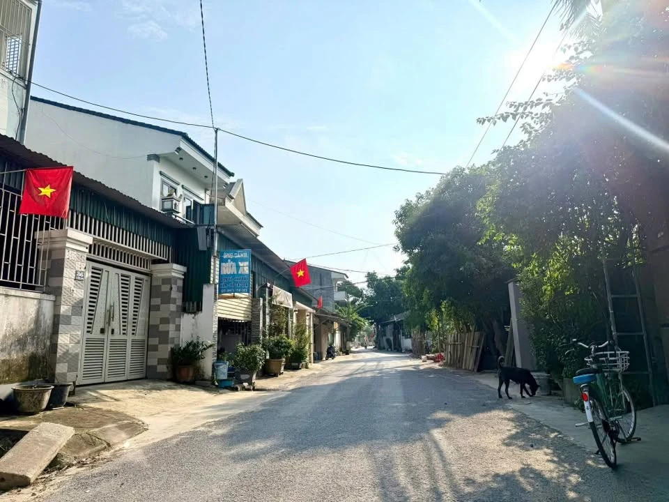 Bán lô góc 2 mặt tiền 138.2m2 Xuân Thái Bình Chánh 7.7 tỷ - Ảnh thu nhỏ 5