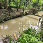Bán đất Phú Túc Châu Thành 1700m2, 970 triệu - Ảnh thu nhỏ 3