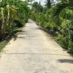 Bán 1.160m² đất vườn dừa Xã Hữu Định Bến Tre 1 tỷ 700 triệu - Ảnh thu nhỏ 1