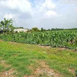 Bán 4 lô đất liền kề 7.514,7 m² Trung Lập Thượng, Củ Chi - Ảnh thu nhỏ 2
