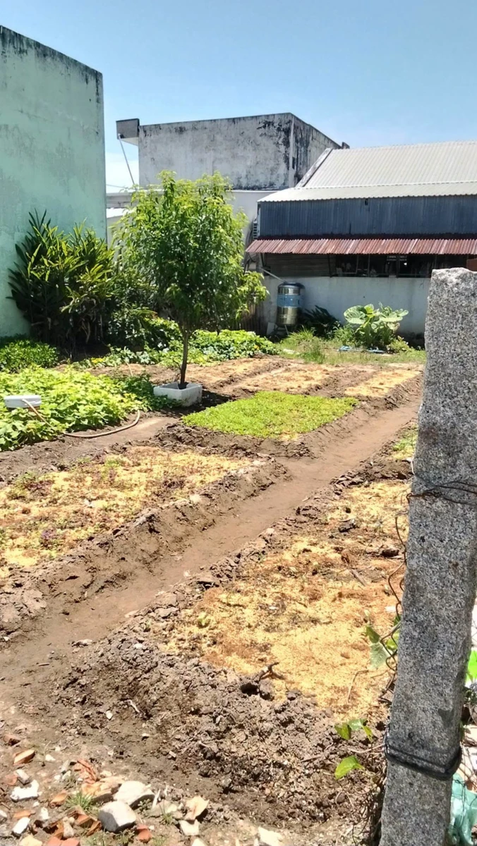 Bán đất hẻm Nguyễn Trung Trực 136m² giá 900 triệu - Ảnh thu nhỏ 4