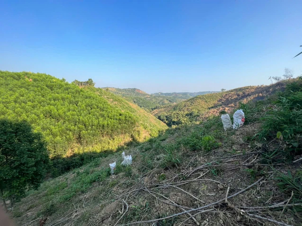 Bán 3 hectare đất Đắk Nông 450 triệu - Ảnh thu nhỏ 3