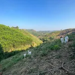 Bán 3 hectare đất Đắk Nông 450 triệu - Ảnh thu nhỏ 3