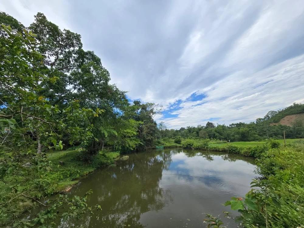 Bán đất 2000m² Đà Bắc Hòa Bình gần 2 tỷ có ao vườn - Ảnh thu nhỏ 2