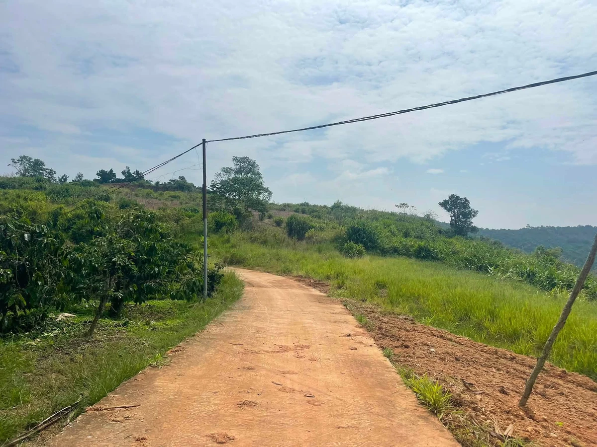 Bán đất 2600m2 view thôn Hai Bà, Lâm Hà, Hà Giang - Ảnh thu nhỏ 3