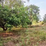 Bán đất 2400m² thổ cư 200m² Bình Thuận, Bình Thạnh - Ảnh thu nhỏ 3