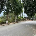 Bán đất tại thị trấn Tam Đường, 7 tỷ, 392m2 chỉ với giá cực xịn - Ảnh thu nhỏ 2