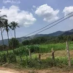 Bán lô đất 7200m² ngang 62m tại Bình Định - Ảnh thu nhỏ 3