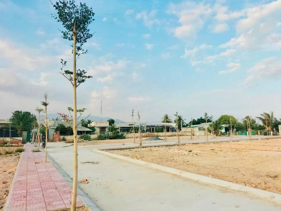 Đất gần Biển Ninh Chữ đấu giá nhà nước - Cơ hội đầu tư đất biển giá rẻ - Ngân hàng hỗ trợ vay - Ảnh thu nhỏ 4