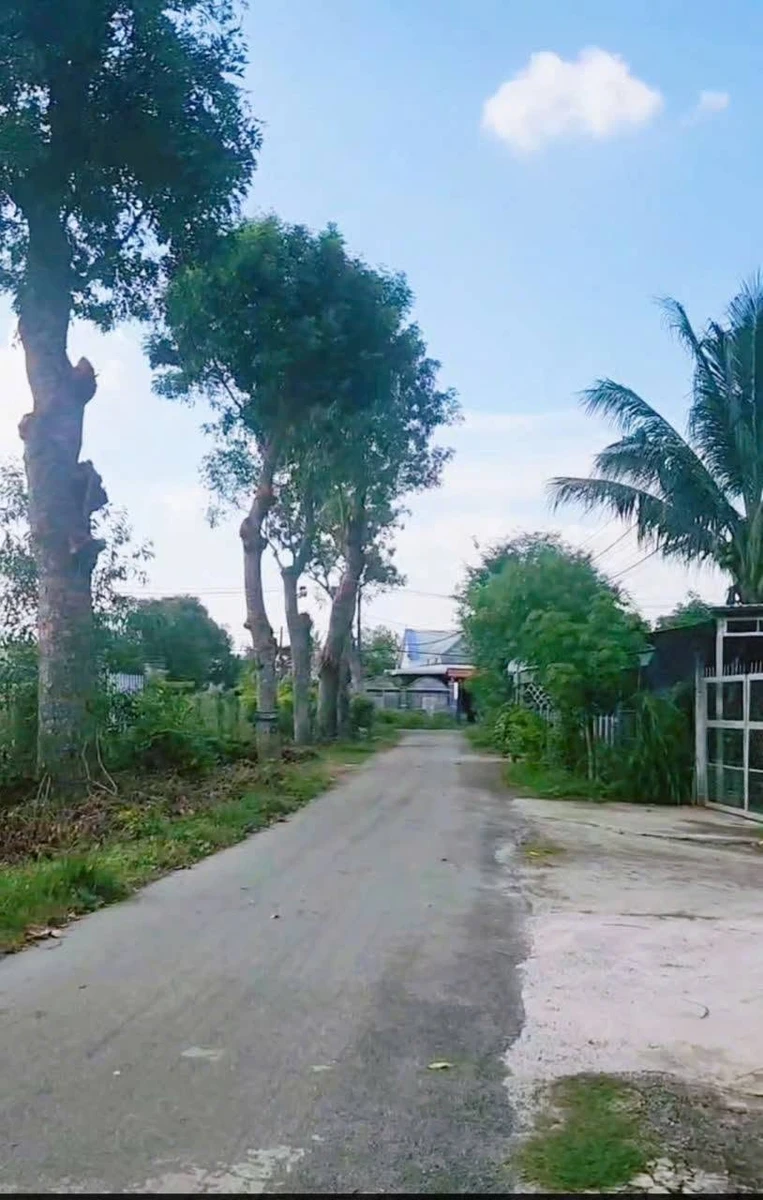 Bán đất Xã Thái Mỹ 220m², 790 triệu - Ảnh thu nhỏ 3