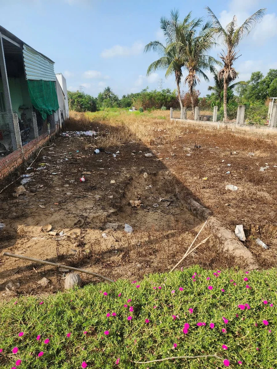 Bán đất Ấp 2 Hữu Thạnh Đức Hoà 6x35m mặt tiền đường bê tông - Ảnh thu nhỏ 3