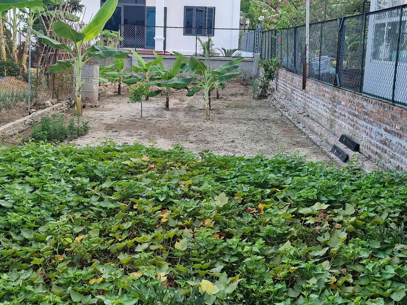 Bán đất 125m2 Võ Văn Kiệt 1.05 tỷ nhieu