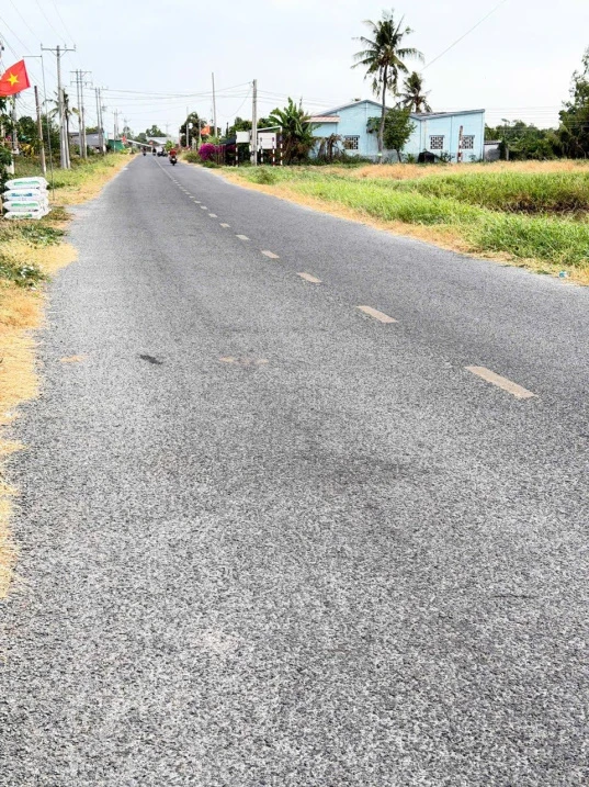 Chính chủ bán gấp 5600m2 đường Tỉnh 881 nhựa 10m, cách Phà Mỹ An 1km,giá 1tr160/m2 - Ảnh thu nhỏ 3