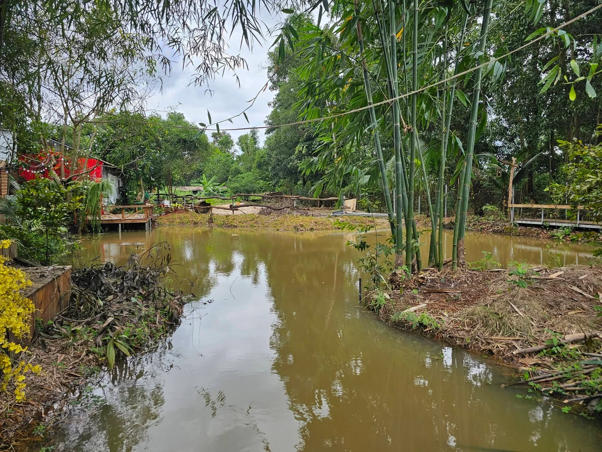Bán farm sinh thái 7000m2 Đồng Xoài, Bình Dương - Ảnh 1