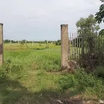 Bán đất vườn 2 công giá 5 tỷ Bình Chánh - Ảnh thu nhỏ 2