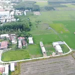 Bán đất full thổ cư Bàu Đồn 150m² 600 triệu - Ảnh thu nhỏ 4