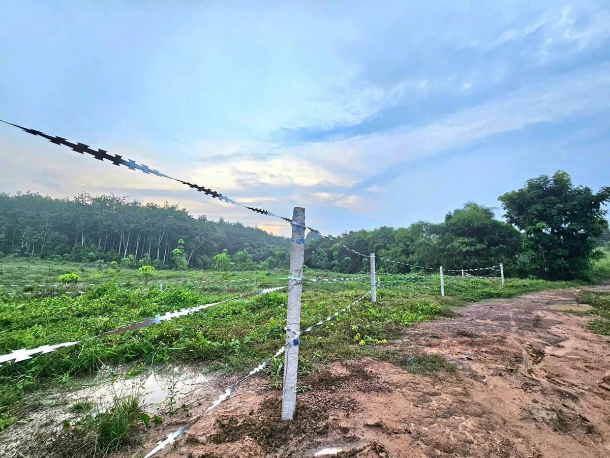 Bán đất thổ cư 100m² Tân Hưng Đồng Nai 90 triệu - Ảnh thu nhỏ 2