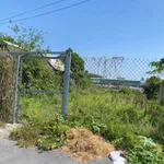 Bán đất 264m2 Hòa Lợi, Bến Cát, Bình Dương giá 3,2 tỷ - Ảnh thu nhỏ 2