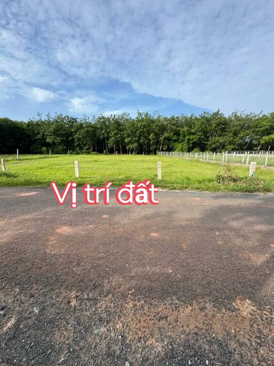 Bán lô đất 265m² Tây Ninh 295 triệu - Ảnh thu nhỏ 5
