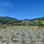 Bán lô đất 4800m² mặt tiền 42,5m view rừng thông tại Đèo Mimoza, Đà Lạt, giá 15 tỷ - Ảnh thu nhỏ 1
