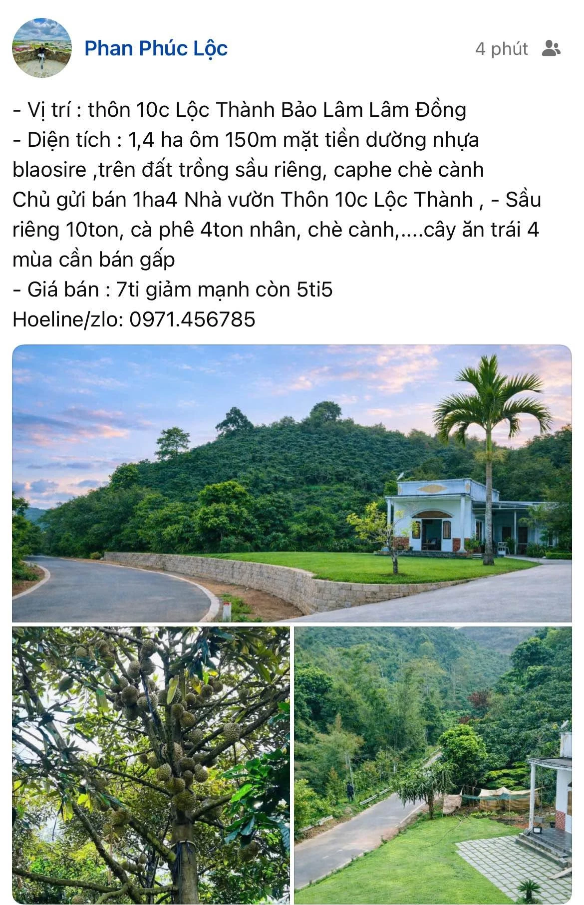 Bán 1,4 ha nhà vườn Bảo Lâm, Lâm Đồng, giá 5 tỷ 5 - Ảnh 1